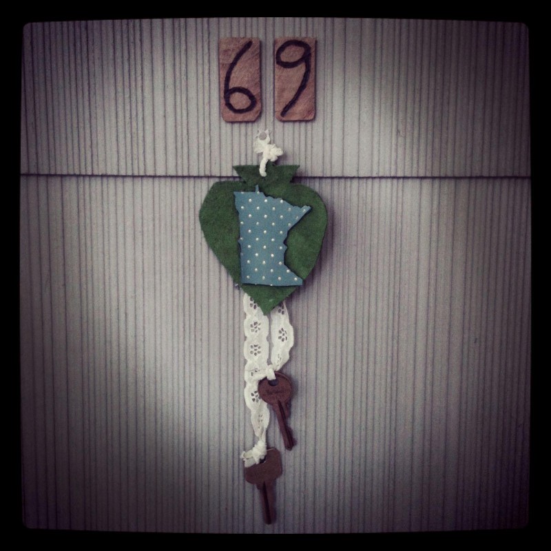 Absolutely Cuckoo: Minnesota covers the 69 Love Songs